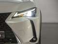 Lexus UX 250h 2.0 ECO AUTO 184 5P White - thumbnail 4