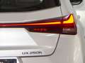 Lexus UX 250h 2.0 ECO AUTO 184 5P Biały - thumbnail 9