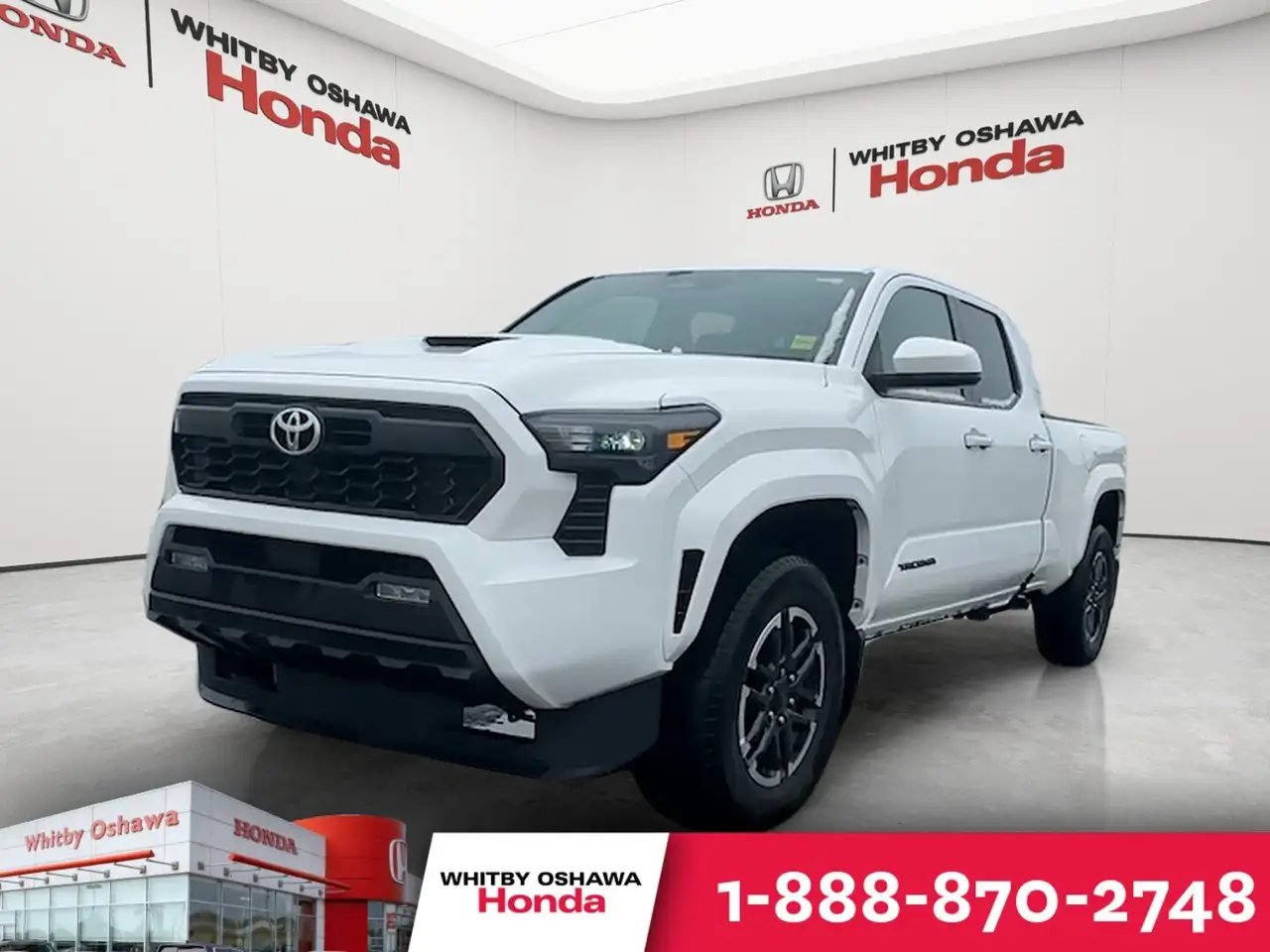 Toyota Tacoma fotografie Toyota Tacoma