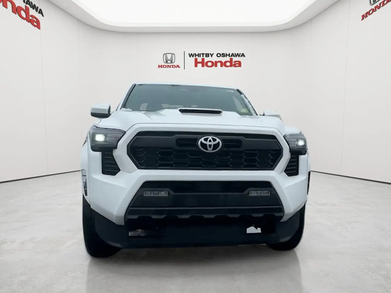 Toyota Tacoma fotografie Toyota Tacoma