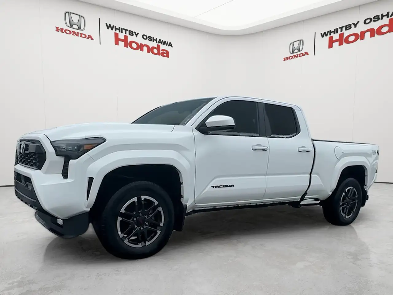 Toyota Tacoma fotografie Toyota Tacoma