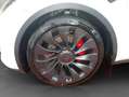 Tesla Model Y Performance Dual Motor AWD Weiß - thumbnail 22