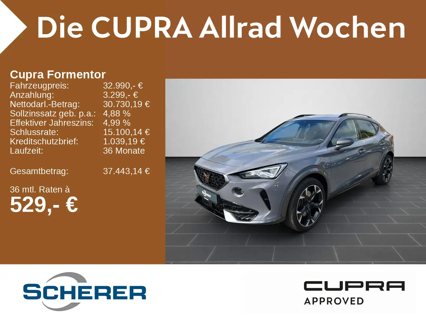 CUPRA Formentor VZ 2.0 TSI 4DRIVE DSG Rückfahrkamera Grau - 1
