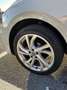 Volkswagen Polo 1.0 tsi Style 95cv Beige - thumbnail 6