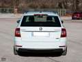 Skoda Octavia 1.5 130 CV DSG WAGON AMBITION G-TEC (METANO) Bianco - thumbnail 5