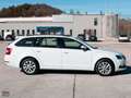Skoda Octavia 1.5 130 CV DSG WAGON AMBITION G-TEC (METANO) Bianco - thumbnail 7