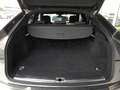 Audi Q5 SB 55 TFSI e S-LINE quattro PHEV S-tr *SKY / MATRIX-LED & OLED / ADAP. LUFT-FW / NAVI / KAMERA / HEAD-UP / B&O SOUNDSYSTE Grau - thumbnail 14