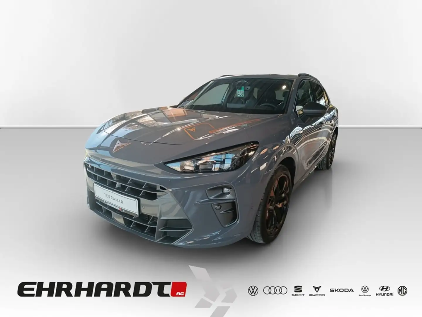 CUPRA Terramar 2.0 TSI DSG 4Drive VZ COPPER DCC AKEBONO*PANO*M... Grau - 1
