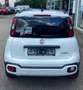 Fiat Panda Cross Weiß - thumbnail 5