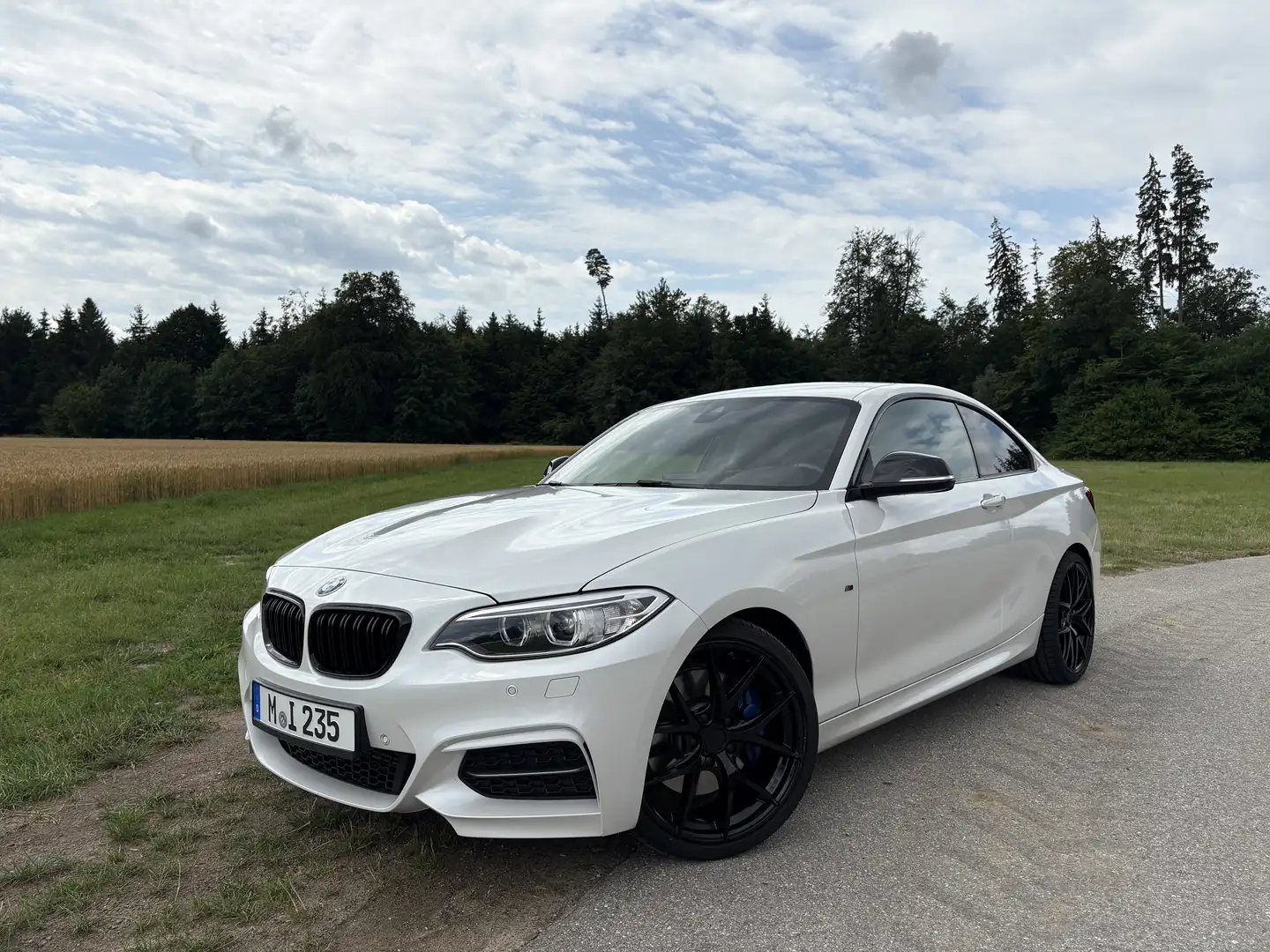 BMW 235 M235 i xDrive / 19“ / H&K / 8-fach / Carplay Blanc - 1