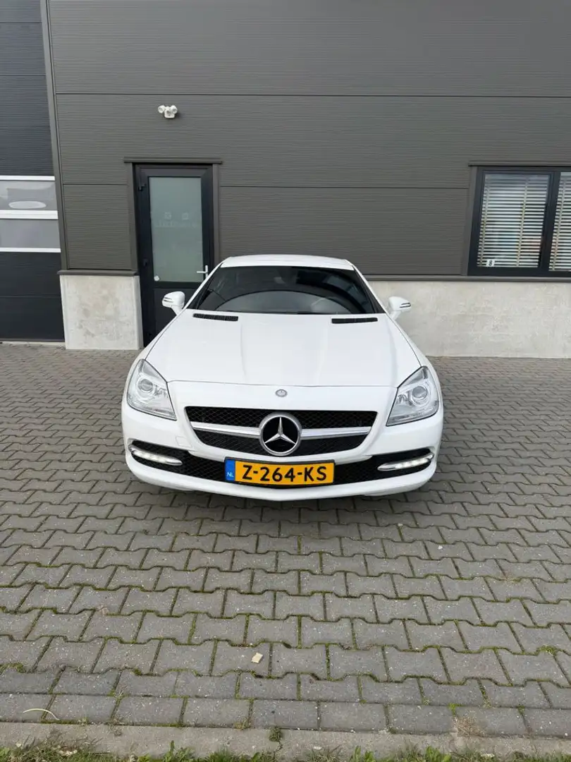 Mercedes-Benz SLK Automaat | Stoelverw | LED | Airco | Roadster | Cr Weiß - 1