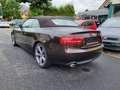 Audi A5 Cabrio 3.0TDI qu. S-tr B&O+ACC+LEDER+NAVI+XEN Braun - thumbnail 7