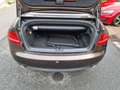 Audi A5 Cabrio 3.0TDI qu. S-tr B&O+ACC+LEDER+NAVI+XEN Braun - thumbnail 18
