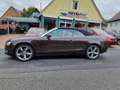 Audi A5 Cabrio 3.0TDI qu. S-tr B&O+ACC+LEDER+NAVI+XEN Braun - thumbnail 8