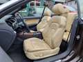Audi A5 Cabrio 3.0TDI qu. S-tr B&O+ACC+LEDER+NAVI+XEN Braun - thumbnail 11