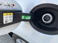 Ford Fiesta Cool & Connect 1,0 EcoBoost Start/Stop Aut. Weiß - thumbnail 19