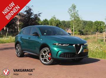 1.3T PHEV Edizione Speciale | 280PK | Winterpakket