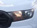 Ford Ranger Pickup 2.0 Ecoblue Doble Cabina XL 4x4 125 Blanco - thumbnail 22