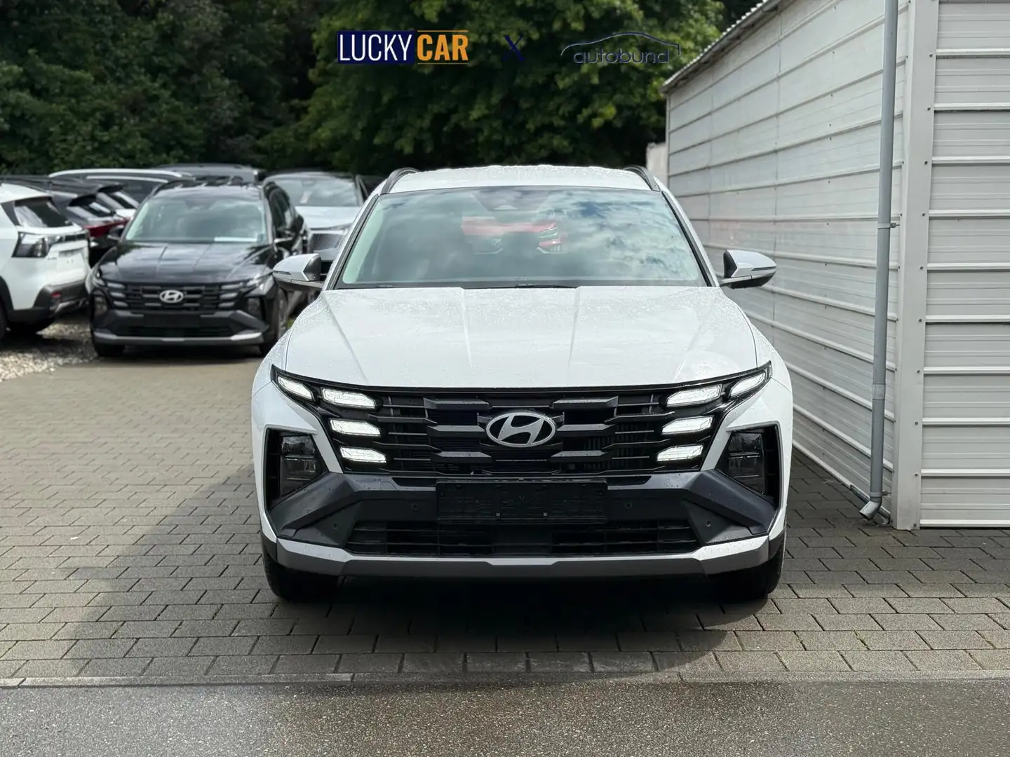Hyundai TUCSON FL (MJ25) 1.6 T-GDI Navi*SHZ*Totwinkel*Kamera*K... Blanc - 2