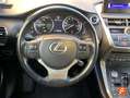 Lexus NX 300 300h Business 2WD Gris - thumbnail 11