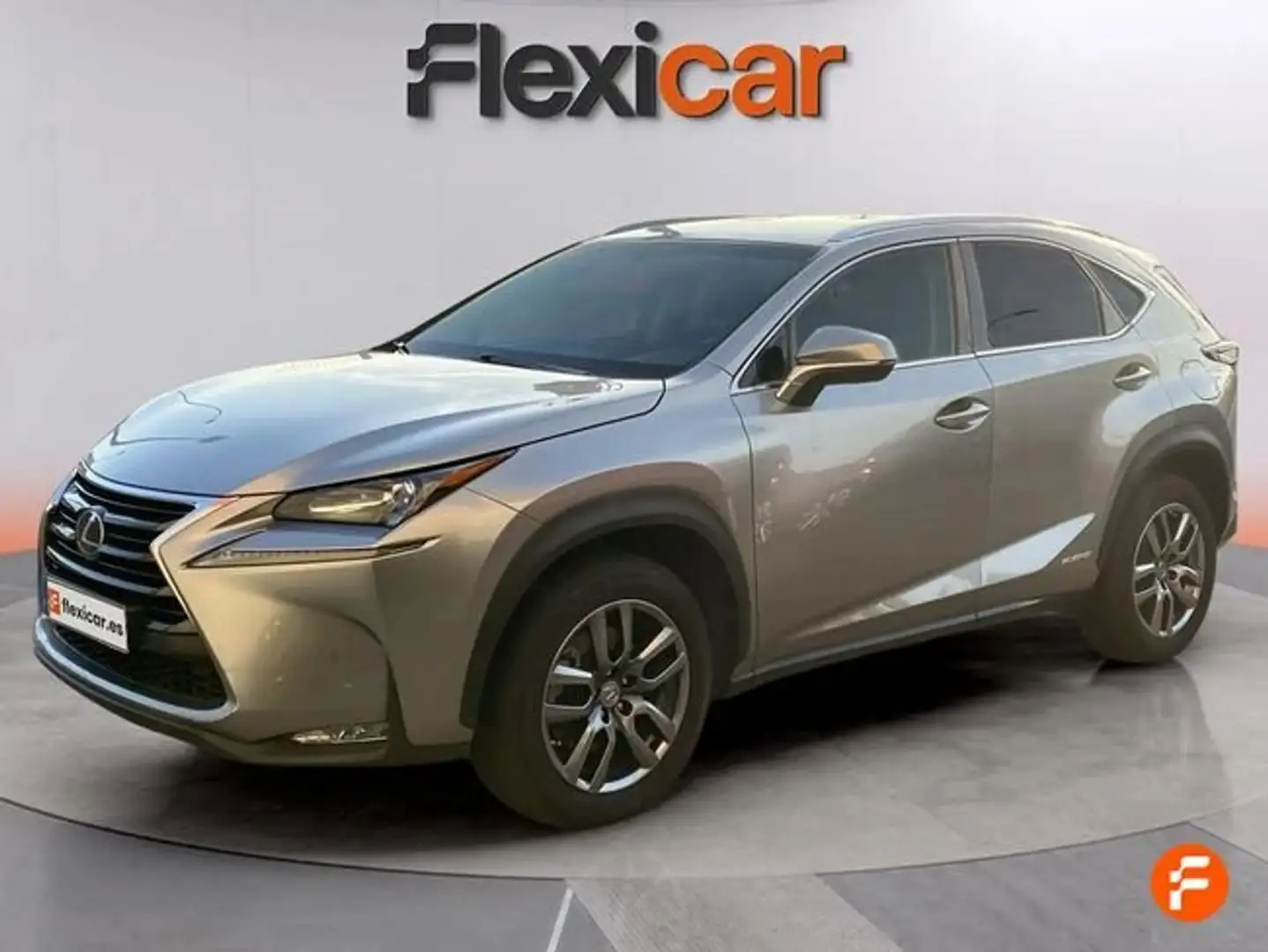 Lexus NX 300 300h Business 2WD Gris - 2