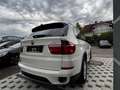 BMW X5 X5 xDrive 3.0d Weiß - thumbnail 8