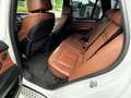BMW X5 X5 xDrive 3.0d Weiß - thumbnail 17