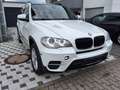 BMW X5 X5 xDrive 3.0d Weiß - thumbnail 12