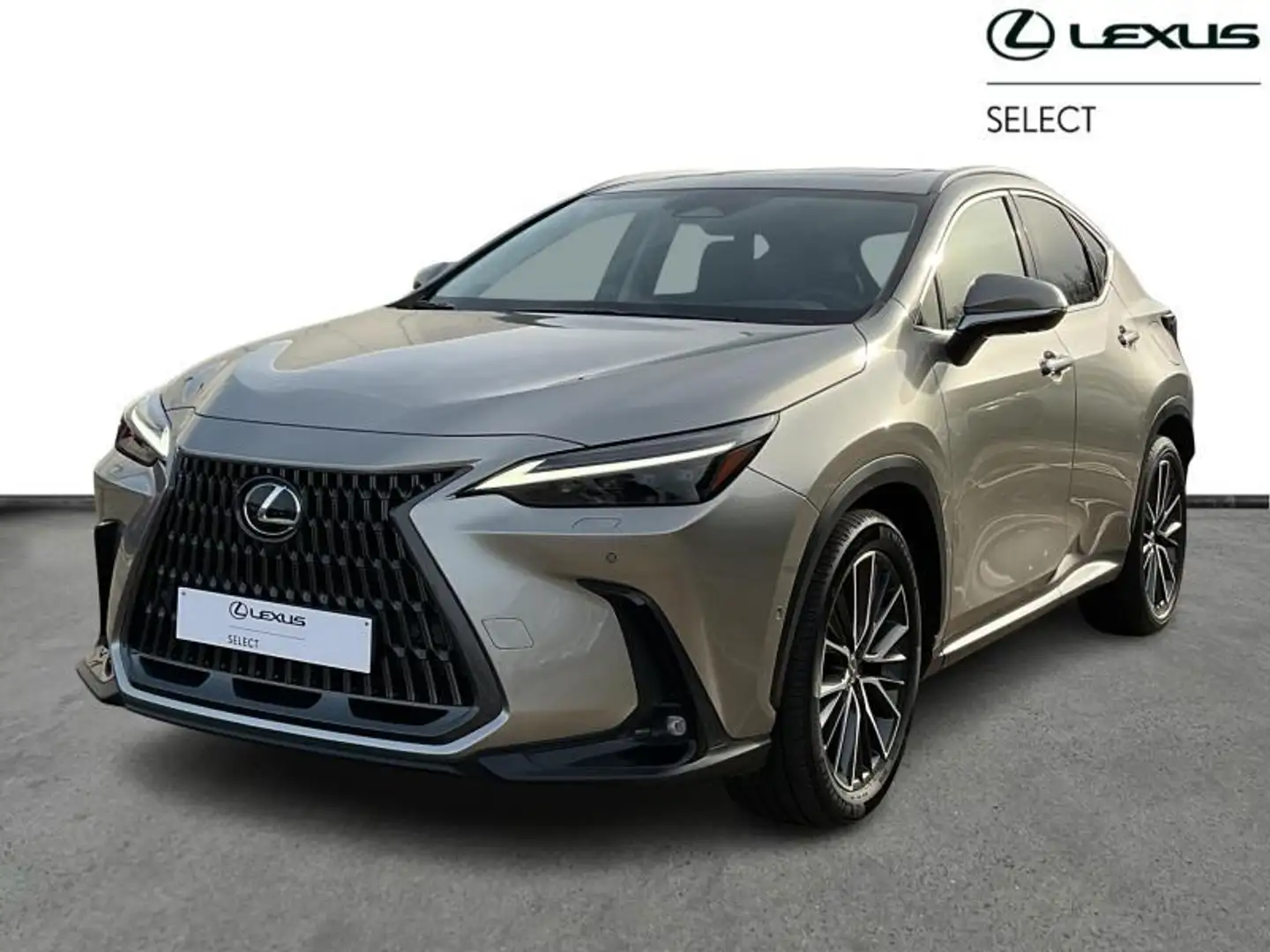 Lexus NX 450h+ Privilege Line PHEV Grau - 1