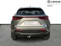 Lexus NX 450h+ Privilege Line PHEV Grau - thumbnail 4
