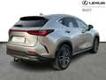Lexus NX 450h+ Privilege Line PHEV Grau - thumbnail 15