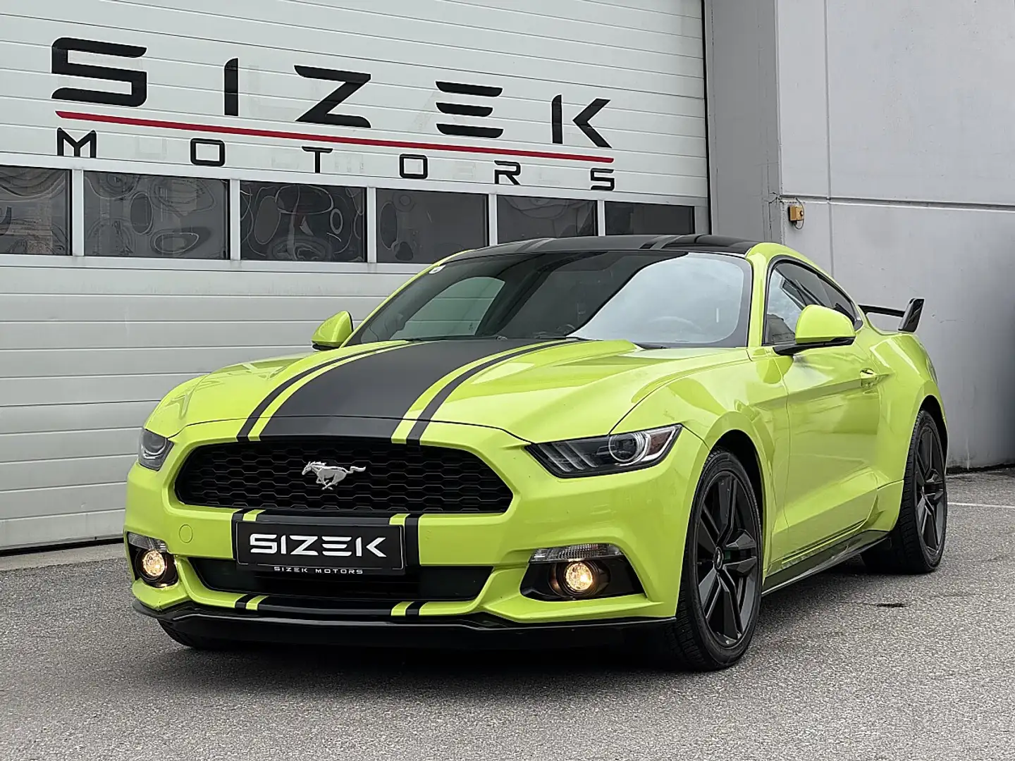 Ford Mustang 2,3 EcoBoost Aut.| LEDER | RÜCKFAHRKAMERA Grau - 1