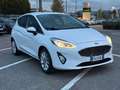 Ford Fiesta 1.1 85 CV 5 porte Titanium Bianco - thumbnail 3