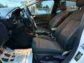 Ford Fiesta 1.1 85 CV 5 porte Titanium Bianco - thumbnail 8