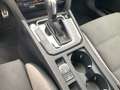 Volkswagen Passat Alltrack 2.0 TDI DSG 4M NAVI ASSIST KAMER Weiß - thumbnail 15