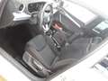 SEAT Ibiza 1.0 TSI FR NAV ACC LED PDC SHZ Weiß - thumbnail 3