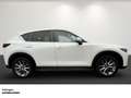 Mazda CX-5 2.0 Kangei HUD   Kamera   Navi   SHZ   Side Assist Blanc - thumbnail 2
