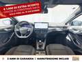 Ford Focus 1.0t ecoboost h st-line x 125cv Grigio - thumbnail 10