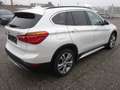 BMW X1 18d X-Drive Sport LED Leder Weiß - thumbnail 5