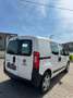 Fiat Fiorino 1.3 MJT CARGO 95CV Weiß - thumbnail 8