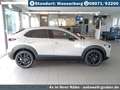 Mazda CX-30 2.5L e-SKYACTIV G Automatik Homura Argent - thumbnail 6