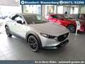 Mazda CX-30 2.5L e-SKYACTIV G Automatik Homura Argent - thumbnail 7