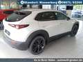 Mazda CX-30 2.5L e-SKYACTIV G Automatik Homura Argent - thumbnail 5