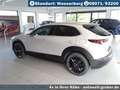Mazda CX-30 2.5L e-SKYACTIV G Automatik Homura Argent - thumbnail 3