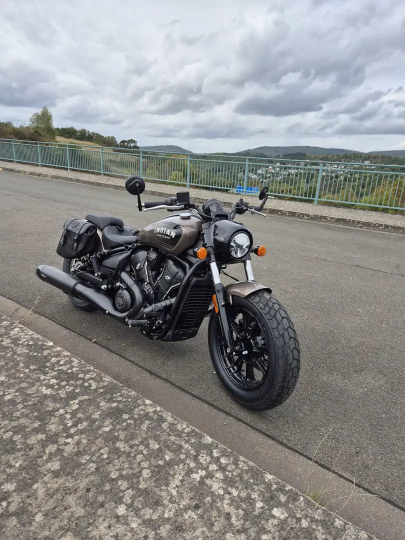 Indian Scout Brun - 2