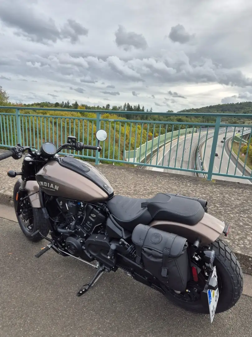 Indian Scout Brun - 1