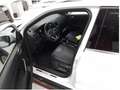 Volkswagen T-Cross 1.0 TSI Facelift R-Line *LED*Navi*AHK*+3 Weiß - thumbnail 6