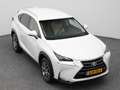 Lexus Sonstige NX 300h AWD Business Line | CAMERA | TREKHAAK Weiß - thumbnail 24