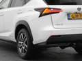 Lexus Sonstige NX 300h AWD Business Line | CAMERA | TREKHAAK Weiß - thumbnail 18