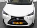 Lexus Sonstige NX 300h AWD Business Line | CAMERA | TREKHAAK Weiß - thumbnail 30
